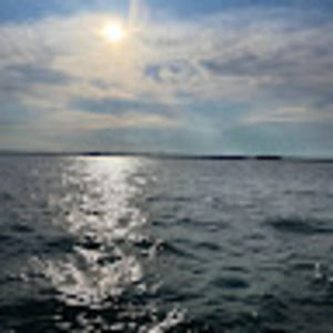 Meet your Posher, Cory